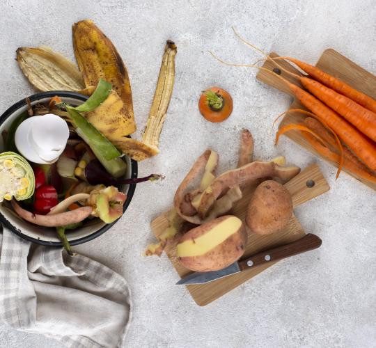Roges ruošk vasarą, o ratus – žiemą: pasirengimas maisto ir virtuvės atliekų rūšiavimui nuo 2024-ųjų metų